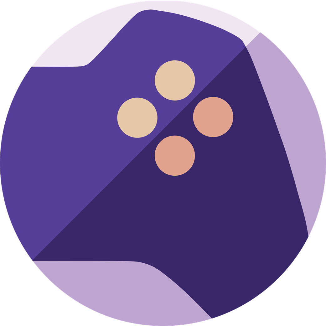 Icon von RomM